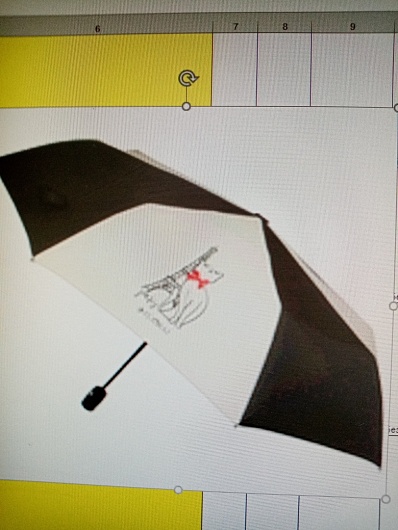 Flioraj женский зонт 160200